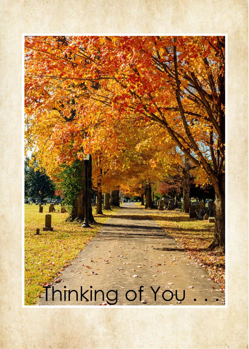 Fall tree lined road Maple Grove Cemetery Card