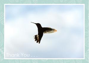 Hummingbird Against Sky Card