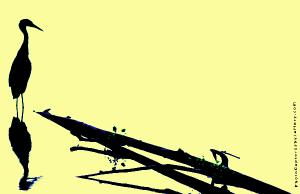 Silhouette of Great Blue Heron on yellow