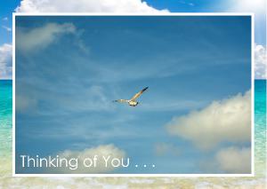 Elegant White Gull Gliding Card