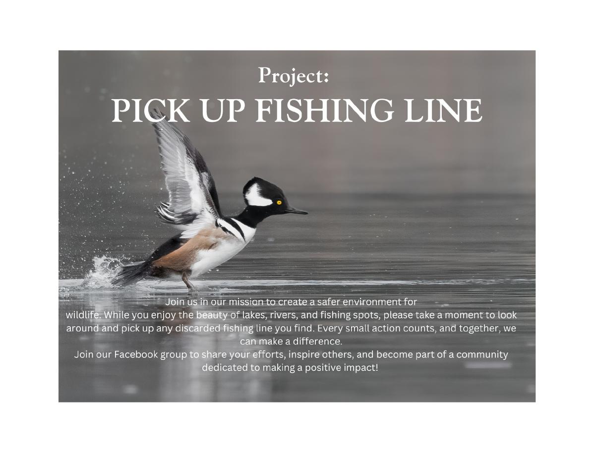 2026 Project: PICK UP FISHING LINE