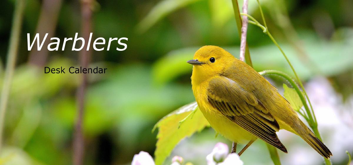 Warblers Desk Calendar