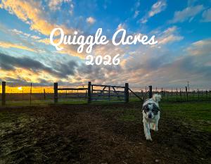 Quiggle Acres Calendar 2026