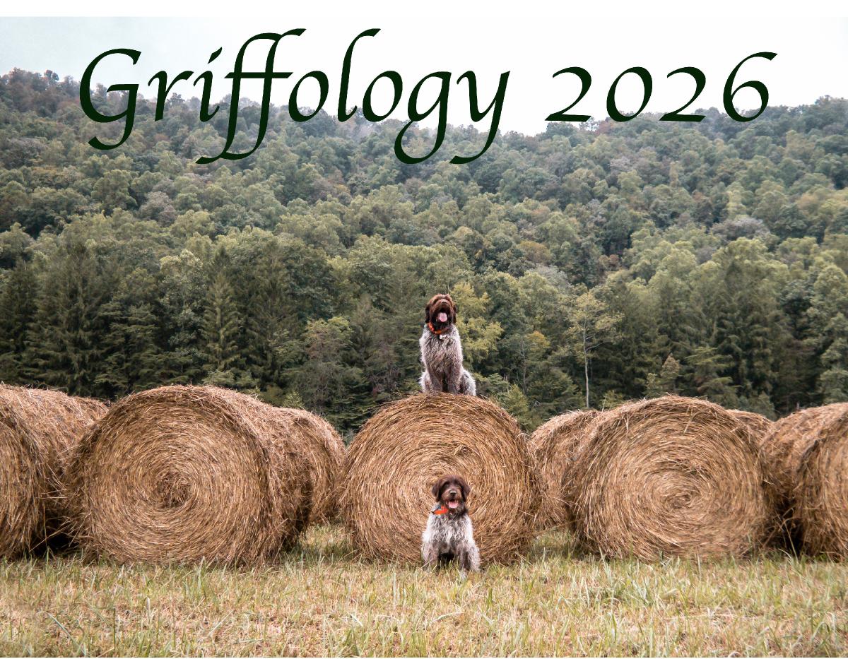Griffology Calendar