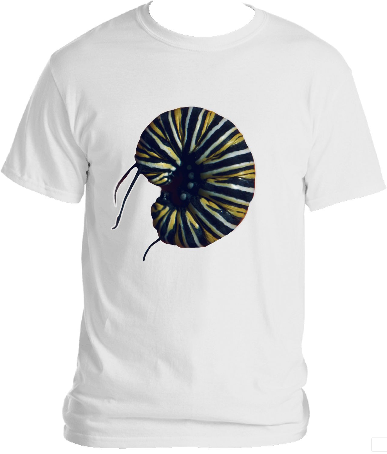 Monarch Friends Tee