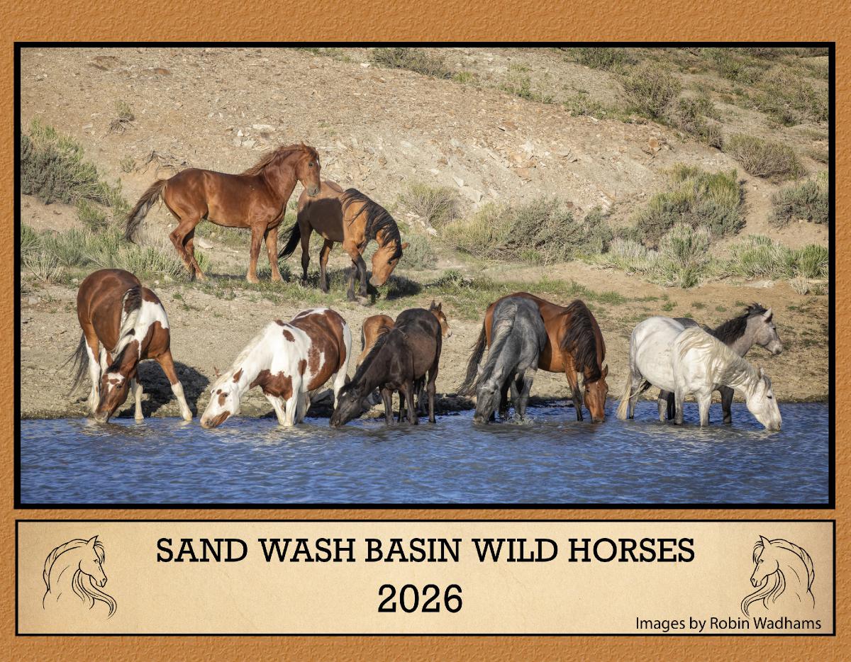 Sand Wash Basin Wild Horses 2026