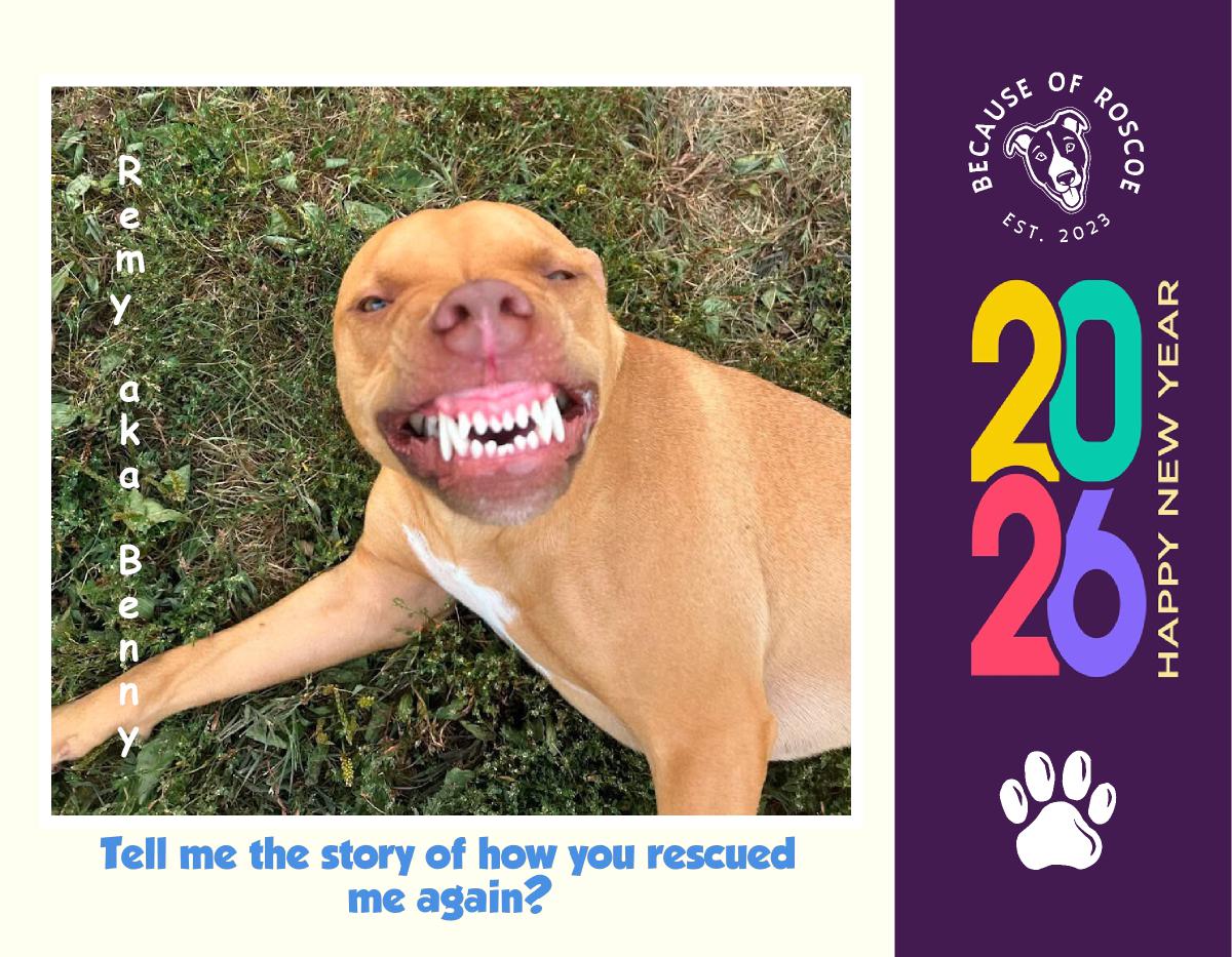 Because of Roscoe 2026 Annual Calendar