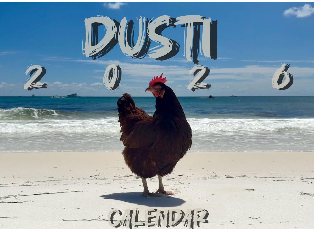 Dusti 2026 Calendar