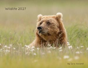 Wildlife 2027