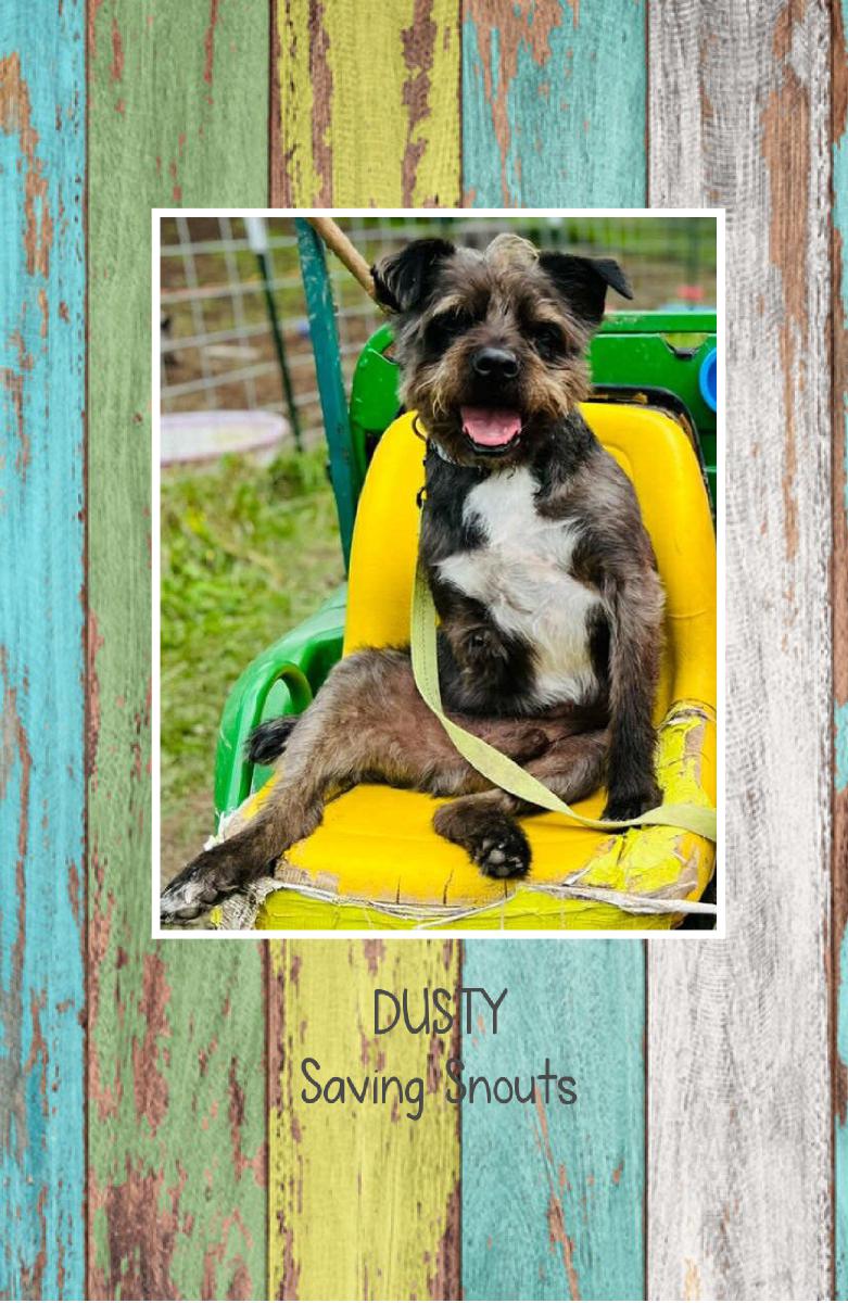 Saving Snouts Notebook