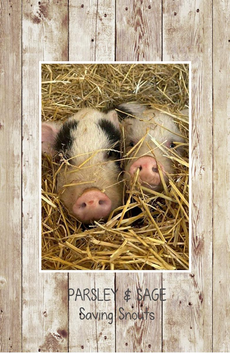 Saving Snouts Notebook