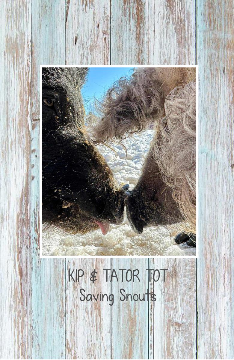 Saving Snouts Notebook