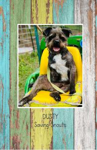 Saving Snouts Notebook