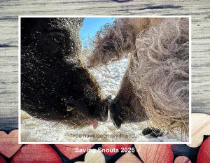 2026 Saving Snouts "Best Friends" Calendar