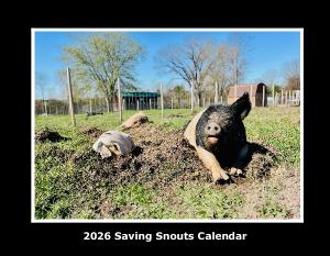 2026 Saving Snouts Calendar