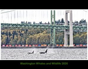 Washington Whales and Wildlife 2026