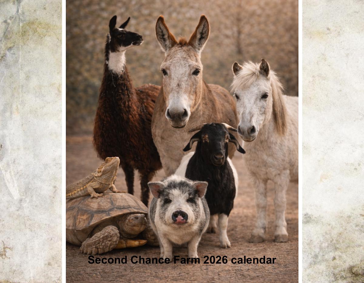 Second Chance Farm 2026 calendar