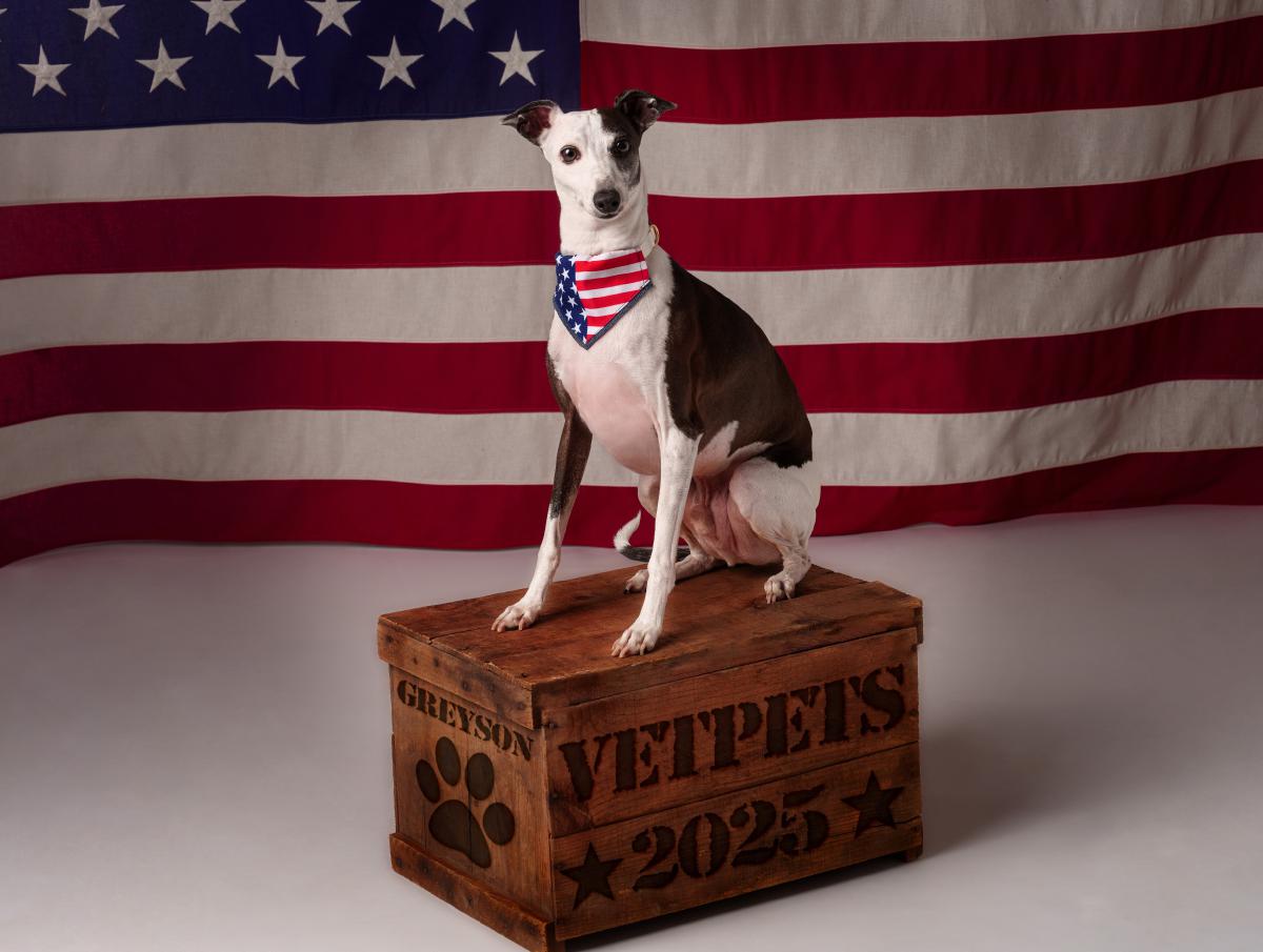 Vet Pets Photo Contest Calendar