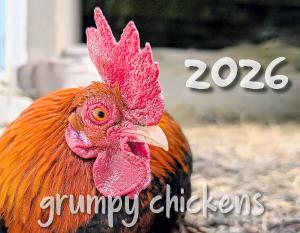 Grumpy Chickens 2026