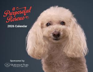 A Purposeful Rescue 2026 Photo Calendar