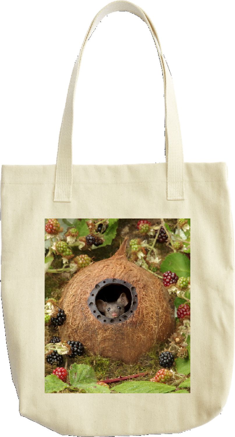 Coconut shell mouse house