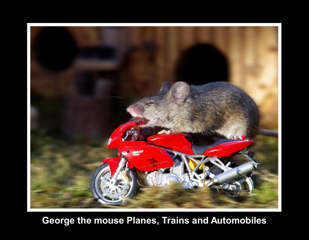 Planes, Trains and Automobiles mice