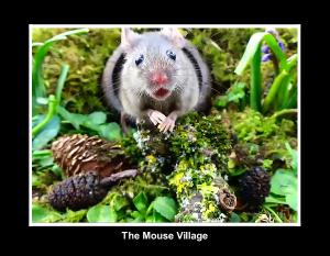 2026 the magical mouse town calendar