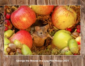 George the mouse calendar 2026