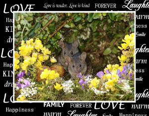 George the mouse in a log pile house