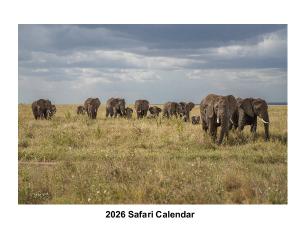 2026 Safari Calendar