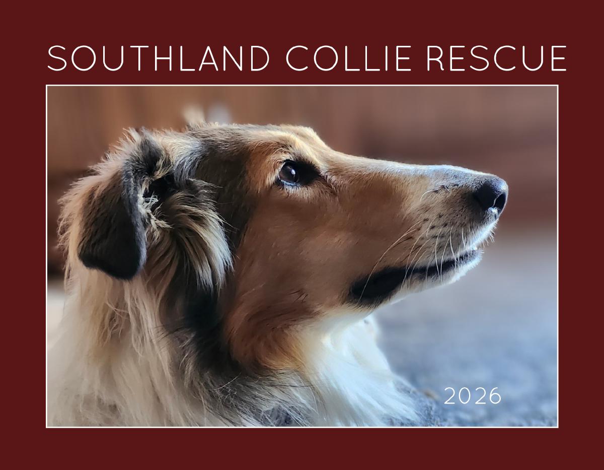 Southland Collie Rescue 2026