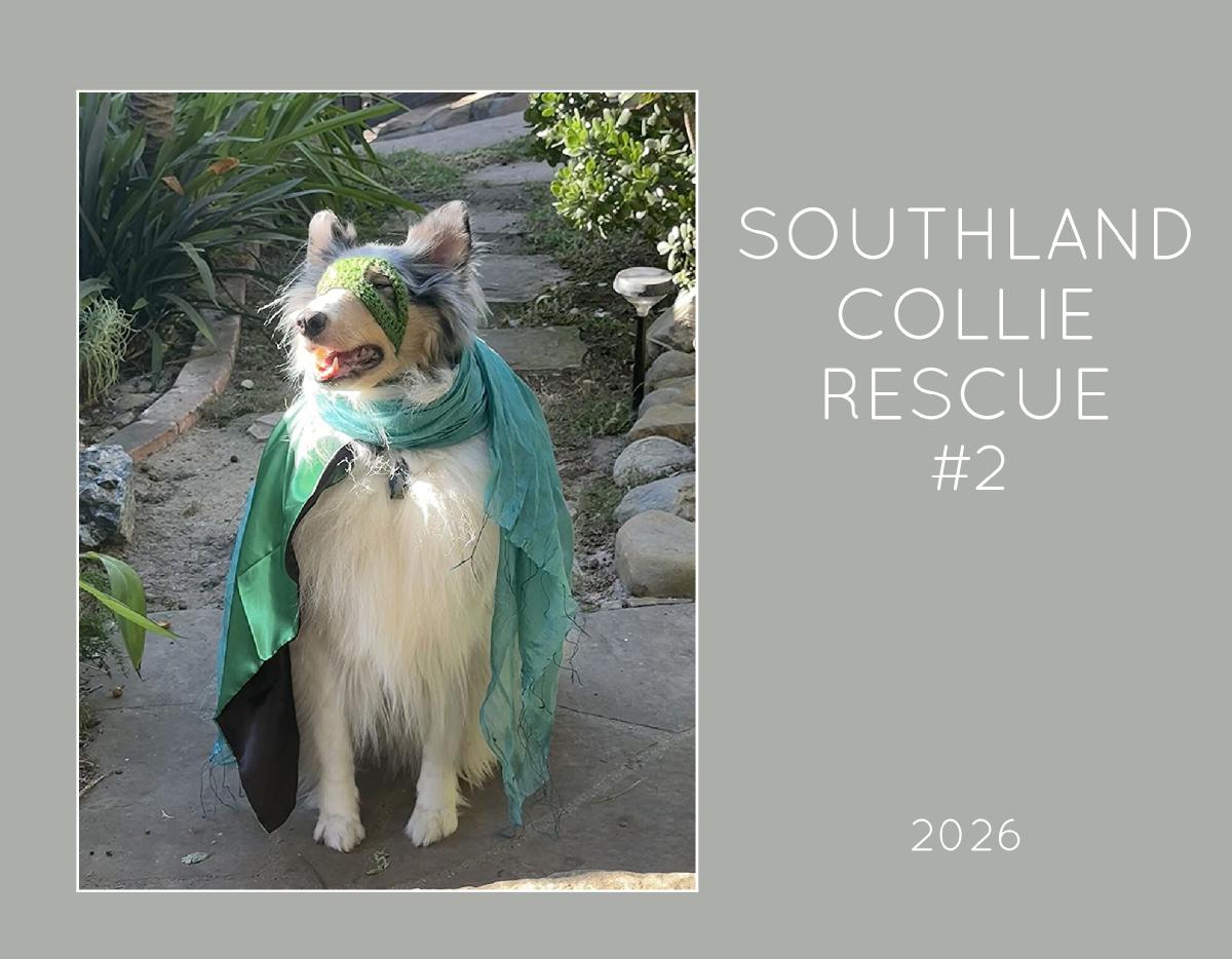 Southland Collie Rescue #2