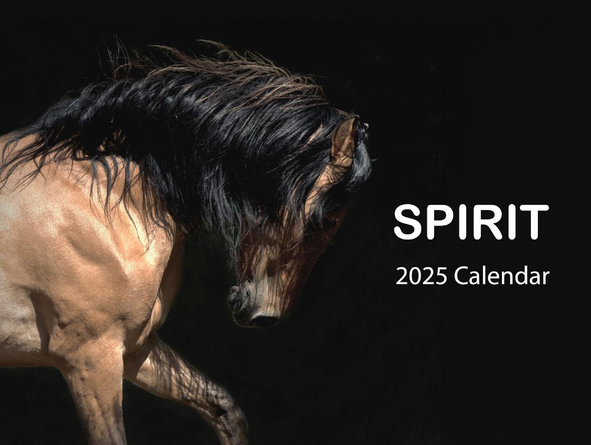 Spirit 2025 Calendar