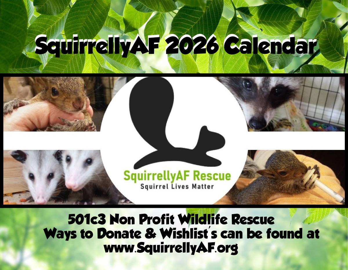 SquirrellyAF 2026 Calendar