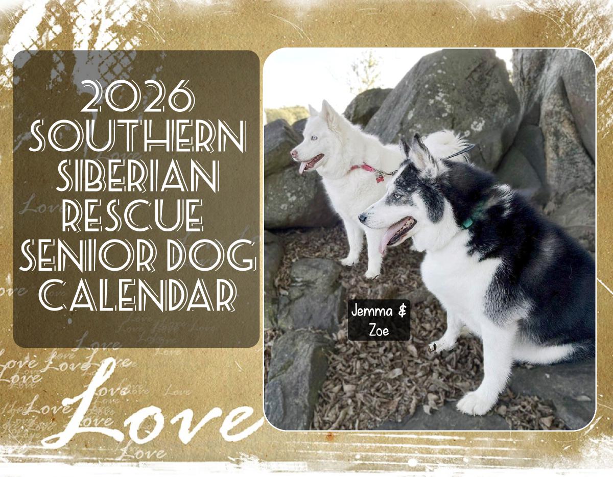 2026 Southern Siberian Senior Dog Calendar