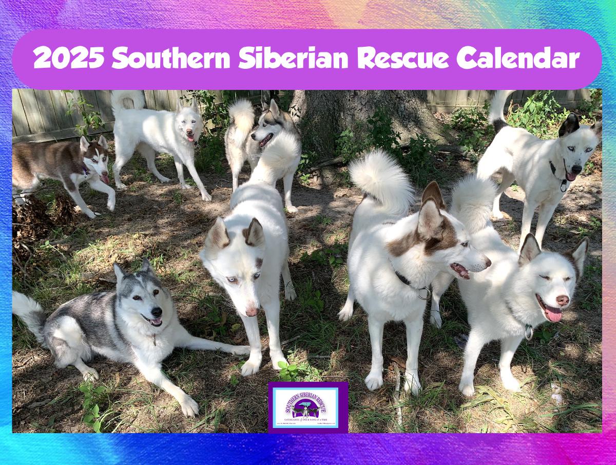 2025 Southern Siberian Rescue Calendar