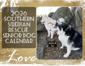2026 Southern Siberian Senior Dog Calendar