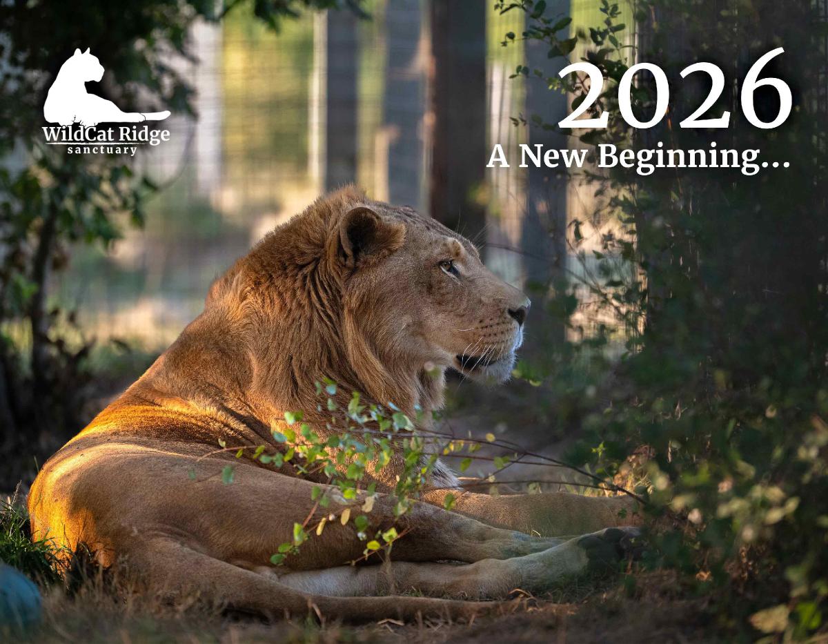 WildCat Ridge Sanctuary Calendar 2026