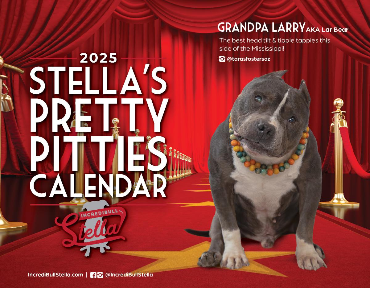 2025 STELLA's PRETTY PITTIES CALENDAR