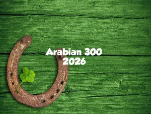 Arabian 300 2026 Calendar