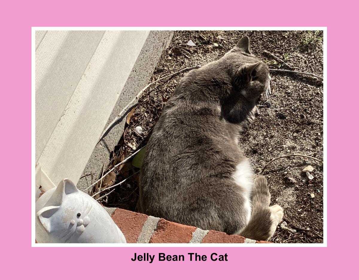 JellyBean Calendars Pink 1