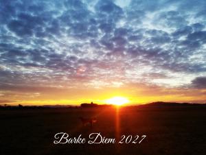 Barke Diem 2027