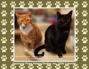 Heavenly Paws 2026 Wall Calendars