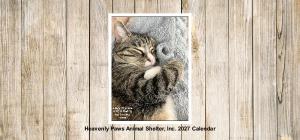 Heavenly Paws 2027 Desk Calendars