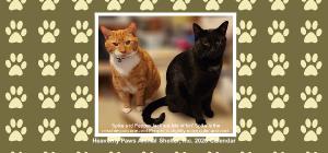Heavenly Paws Desk Calendars