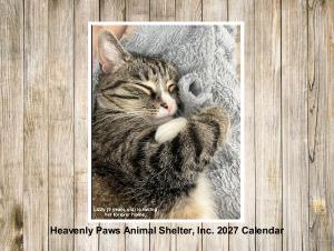 Heavenly Paws Wall Calendar 2027