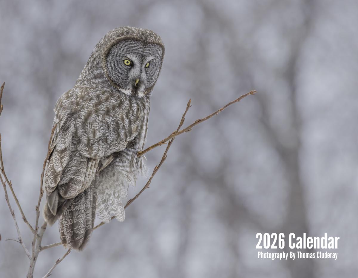 2026 Nature Calendar