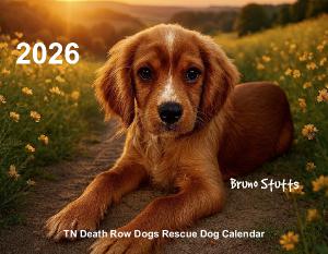 2026 TDRD Rescue Dog Calendar