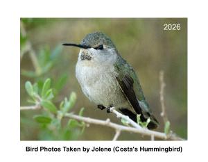 Bird photos every month with hummingbirds too!