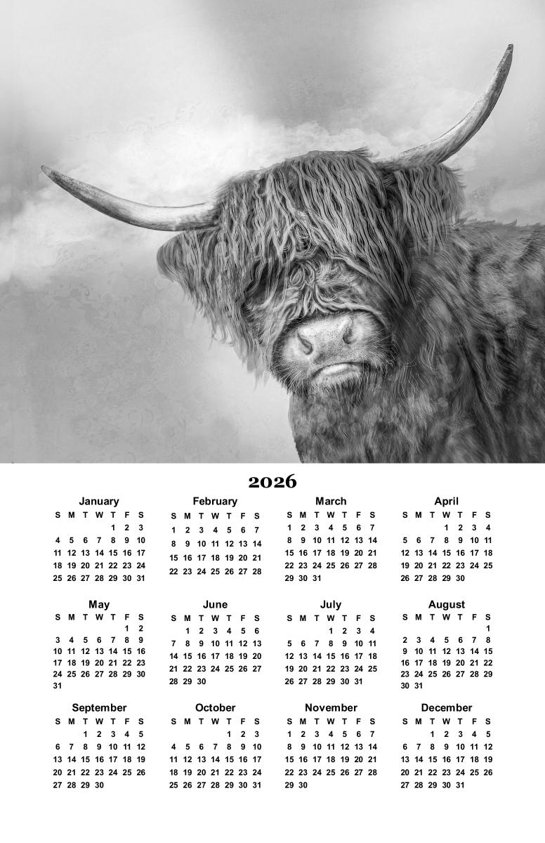 Hamish the Highland Coo 2026 Calendar